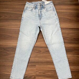 AE Strigid Mom Jeans - 2 Short